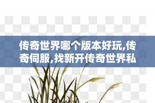 传奇世界哪个版本好玩,传奇伺服,找新开传奇世界私服,传奇伺服