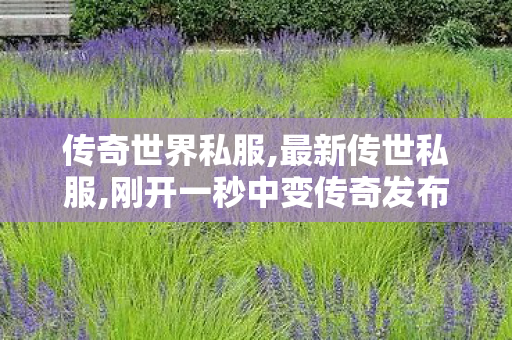 传奇世界私服,最新传世私服,刚开一秒中变传奇发布网,新开传奇世界私服发布网,刚开一秒中变传奇发布网