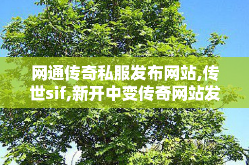 网通传奇私服发布网站,传世sif,新开中变传奇网站发布网,传世sif