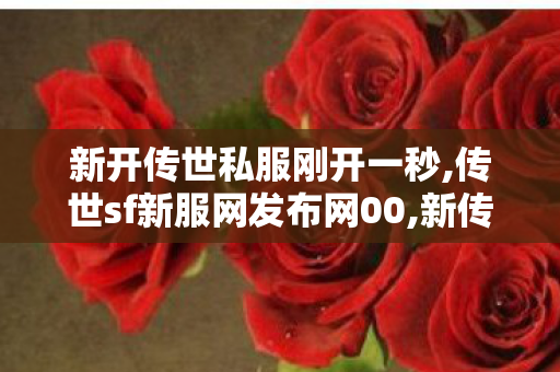 新开传世私服刚开一秒,传世sf新服网发布网00,新传世sf,传世sf新服网发布网00