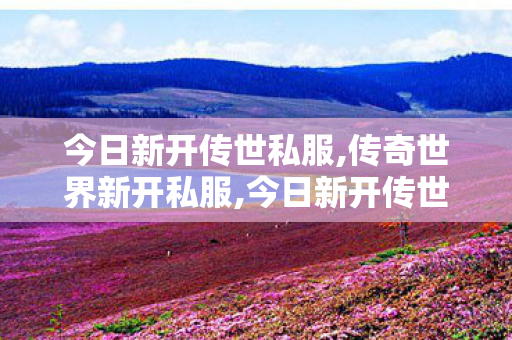 今日新开传世私服,传奇世界新开私服,今日新开传世私服发布网,传奇世界新开私服