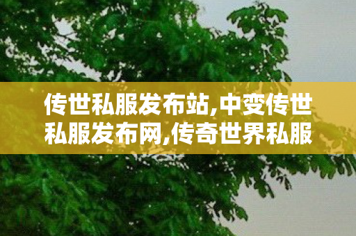 传世私服发布站,中变传世私服发布网,传奇世界私服,传世sf网站,中变传世私服发布网