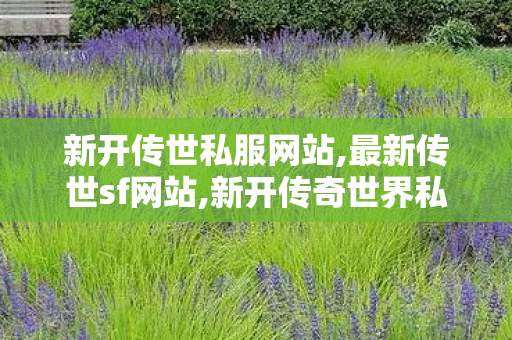 新开传世私服网站,最新传世sf网站,新开传奇世界私服刚开一秒,最新传世sf网站