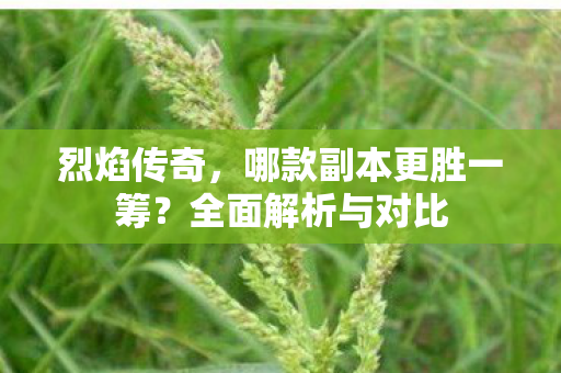 烈焰传奇，哪款副本更胜一筹？全面解析与对比