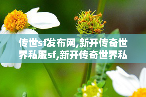 传世sf发布网,新开传奇世界私服sf,新开传奇世界私服传世,新开传奇世界私服sf