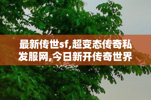 最新传世sf,超变态传奇私发服网,今日新开传奇世界网站,超变态传奇私发服网