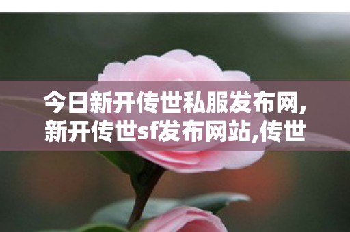 今日新开传世私服发布网,新开传世sf发布网站,传世sf发布网新服,新开传世sf发布网站