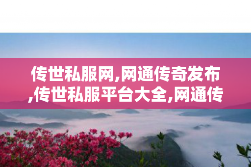 传世私服网,网通传奇发布,传世私服平台大全,网通传奇发布