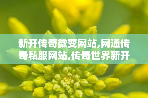新开传奇微变网站,网通传奇私服网站,传奇世界新开私服,网通传奇私服网站
