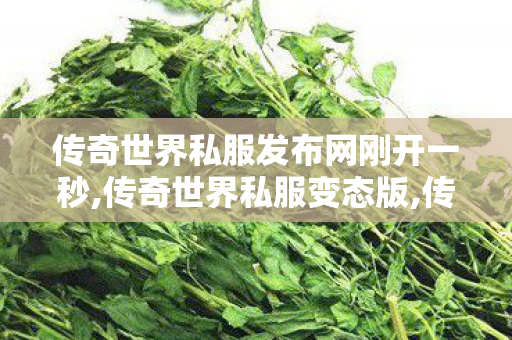 传奇世界私服发布网刚开一秒,传奇世界私服变态版,传世,传奇世界私服变态版