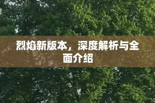 烈焰新版本，深度解析与全面介绍