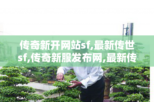 传奇新开网站sf,最新传世sf,传奇新服发布网,最新传世sf