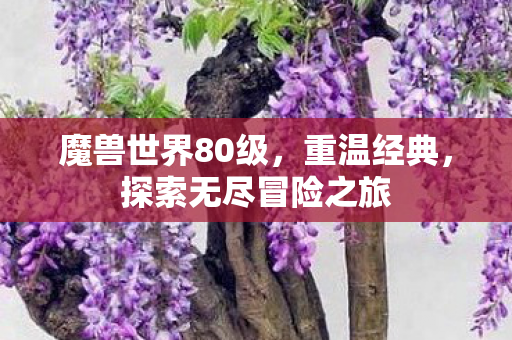 魔兽世界80级，重温经典，探索无尽冒险之旅
