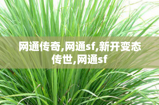 网通传奇,网通sf,新开变态传世,网通sf