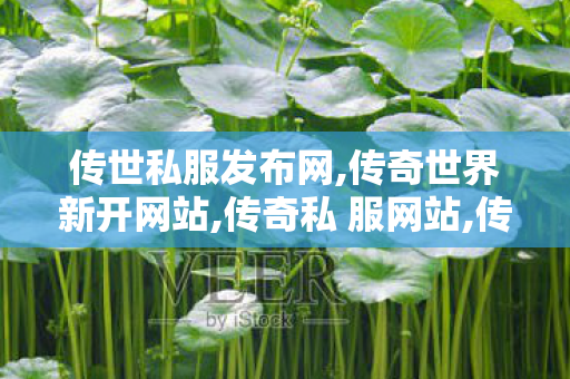 传世私服发布网,传奇世界新开网站,传奇私 服网站,传奇世界新开网站