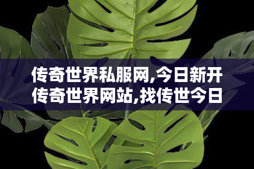 传奇世界私服网,今日新开传奇世界网站,找传世今日新开,今日新开传奇世界网站