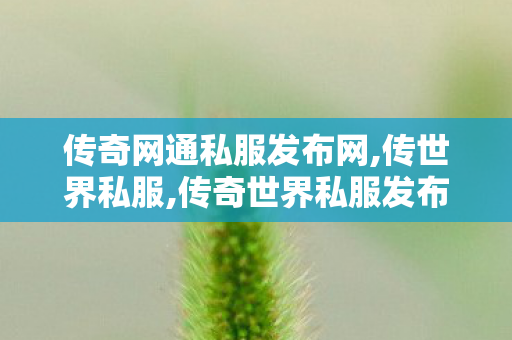 传奇网通私服发布网,传世界私服,传奇世界私服发布网,传世界私服