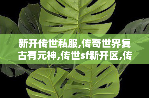 新开传世私服,传奇世界复古有元神,传世sf新开区,传奇世界复古有元神