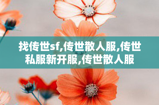 找传世sf,传世散人服,传世私服新开服,传世散人服