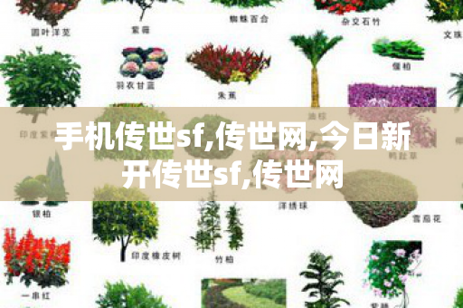 手机传世sf,传世网,今日新开传世sf,传世网
