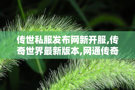 传世私服发布网新开服,传奇世界最新版本,网通传奇私服网站,传奇世界最新版本
