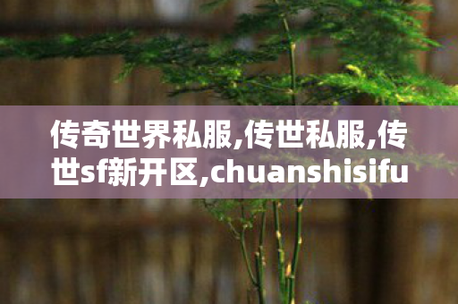传奇世界私服,传世私服,传世sf新开区,chuanshisifu,传世sf新开区