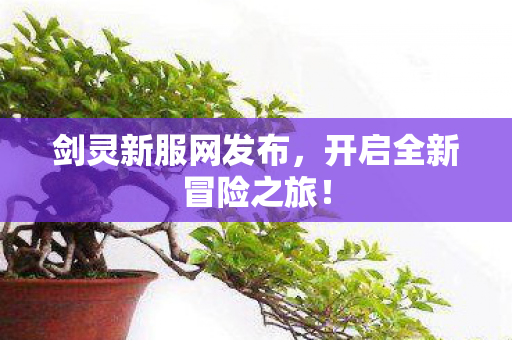 剑灵新服网发布，开启全新冒险之旅！