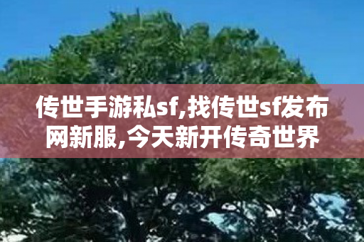 传世手游私sf,找传世sf发布网新服,今天新开传奇世界私服,找传世sf发布网新服