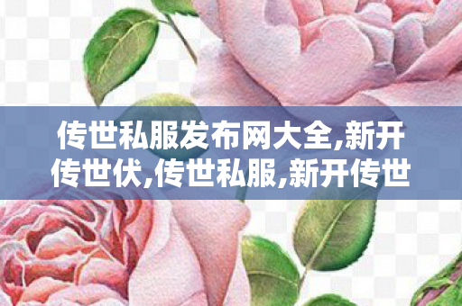传世私服发布网大全,新开传世伏,传世私服,新开传世伏