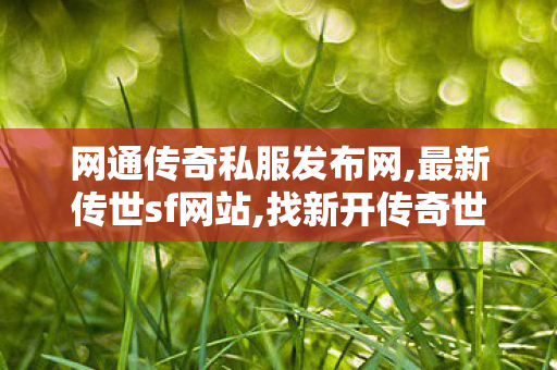 网通传奇私服发布网,最新传世sf网站,找新开传奇世界私服,最新传世sf网站