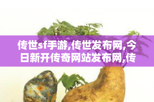 传世sf手游,传世发布网,今日新开传奇网站发布网,传世发布网