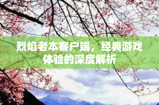 烈焰老本客户端，经典游戏体验的深度解析