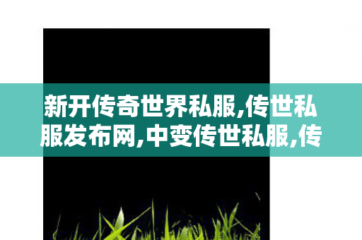 新开传奇世界私服,传世私服发布网,中变传世私服,传世私服发布网