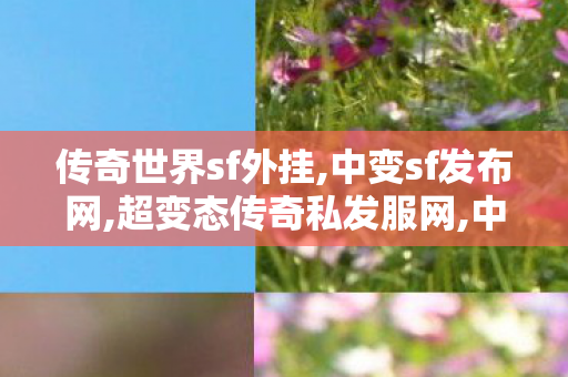 传奇世界sf外挂,中变sf发布网,超变态传奇私发服网,中变sf发布网