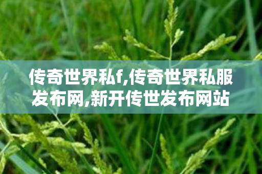 传奇世界私f,传奇世界私服发布网,新开传世发布网站,传奇世界私服发布网