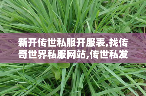 新开传世私服开服表,找传奇世界私服网站,传世私发服网,找传奇世界私服网站