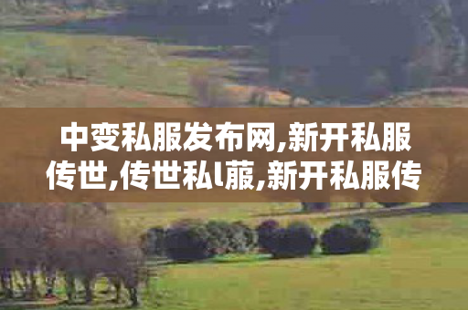 中变私服发布网,新开私服传世,传世私l菔,新开私服传世