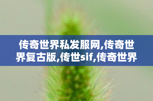 传奇世界私发服网,传奇世界复古版,传世sif,传奇世界复古版