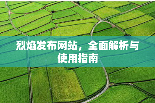 烈焰发布网站，全面解析与使用指南