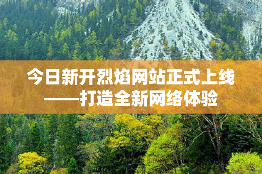 今日新开烈焰网站正式上线——打造全新网络体验