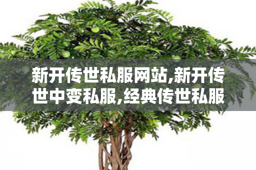 新开传世私服网站,新开传世中变私服,经典传世私服,新开传世中变私服