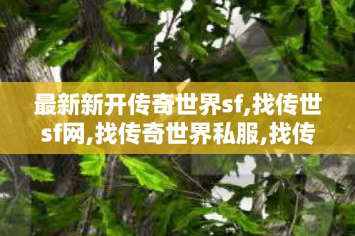 最新新开传奇世界sf,找传世sf网,找传奇世界私服,找传世sf网