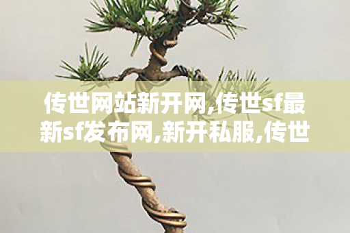 传世网站新开网,传世sf最新sf发布网,新开私服,传世sf最新sf发布网