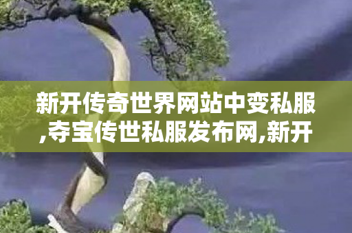 新开传奇世界网站中变私服,夺宝传世私服发布网,新开传奇世界网站刚开一秒,夺宝传世私服发布网