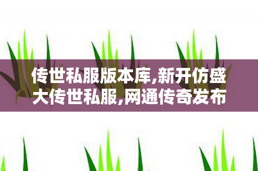 传世私服版本库,新开仿盛大传世私服,网通传奇发布网,新开仿盛大传世私服