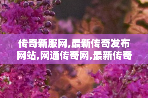 传奇新服网,最新传奇发布网站,网通传奇网,最新传奇发布网站