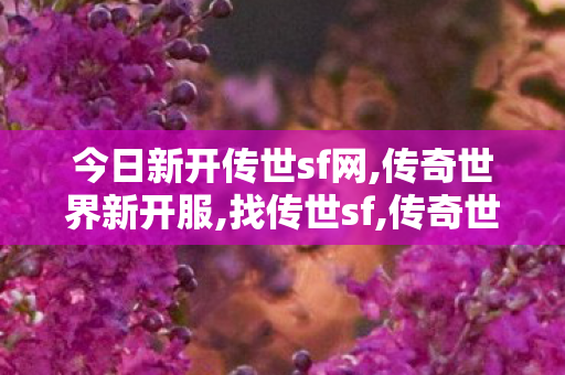 今日新开传世sf网,传奇世界新开服,找传世sf,传奇世界新开服