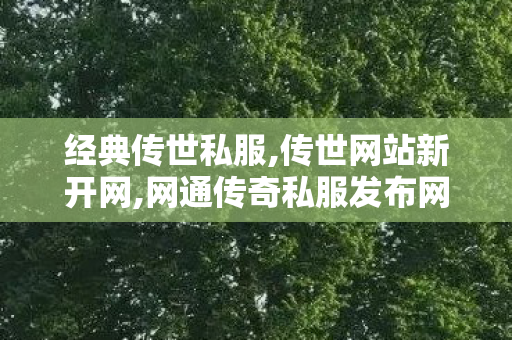 经典传世私服,传世网站新开网,网通传奇私服发布网站,传世网站新开网