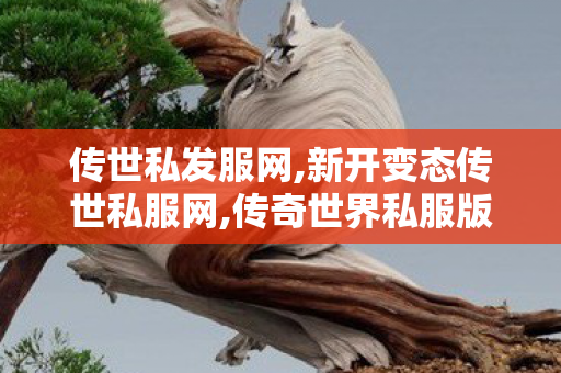 传世私发服网,新开变态传世私服网,传奇世界私服版本下载,新开变态传世私服网