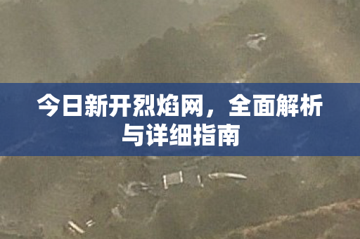 今日新开烈焰网，全面解析与详细指南